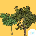 Illustration panneau pédagogique