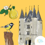 Illustration pédagogique