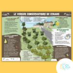 Illustrateur panneau pédagogique