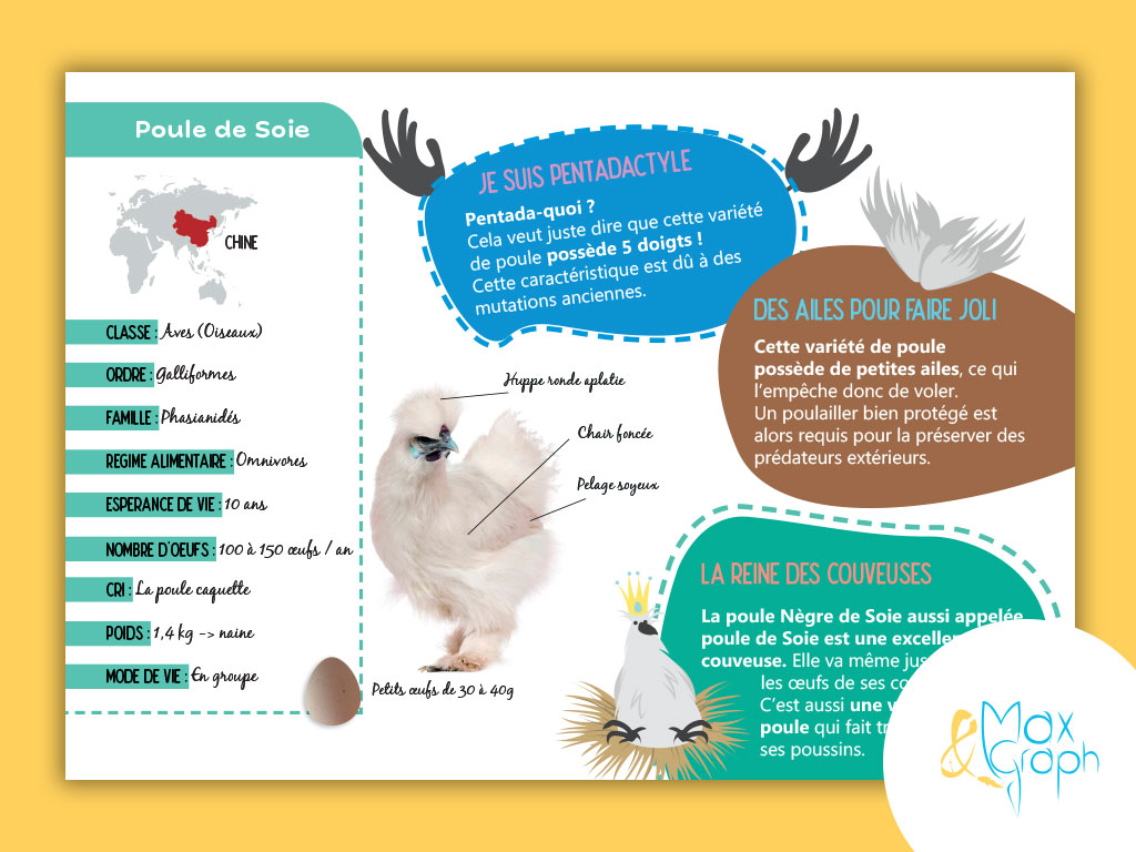 Création panneau pédagogique