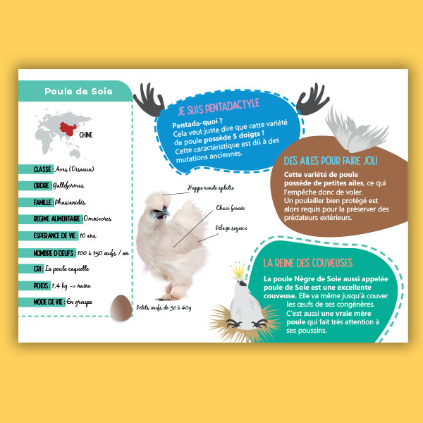 Panneau pédagogique