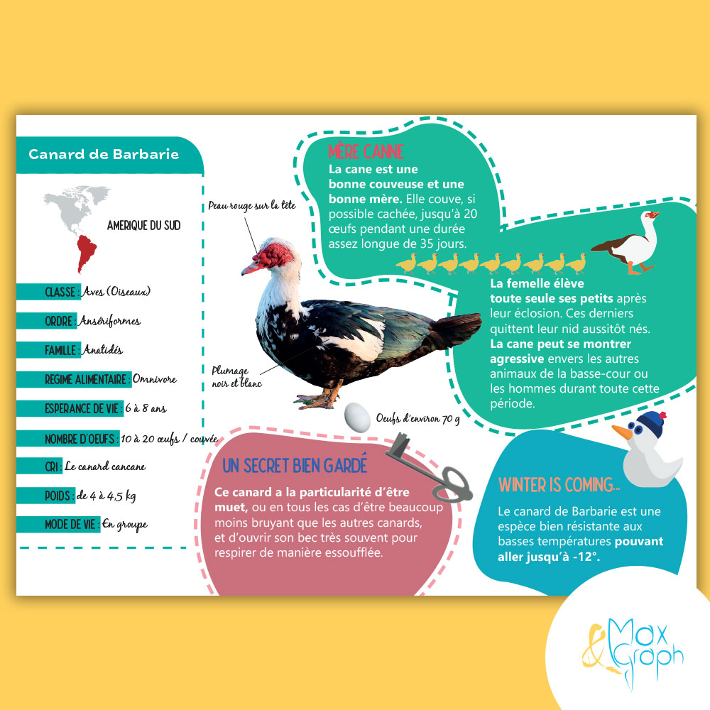 Création panneau pédagogique