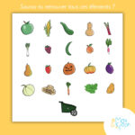 Illustrations cherche et trouve