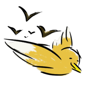 Newsletter MaxandGraph