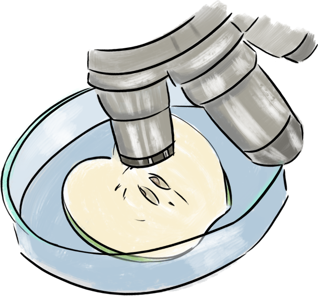 illustration pédagogique