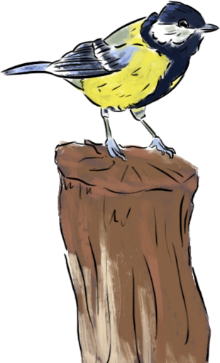 Projets pédagogiques