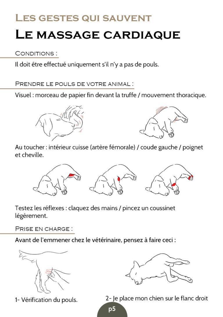Illustration pédagogique